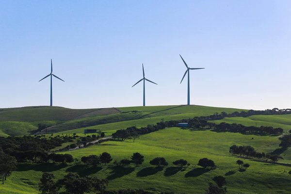 Quelles sont les opportunités d'affaires liées au développement durable ?